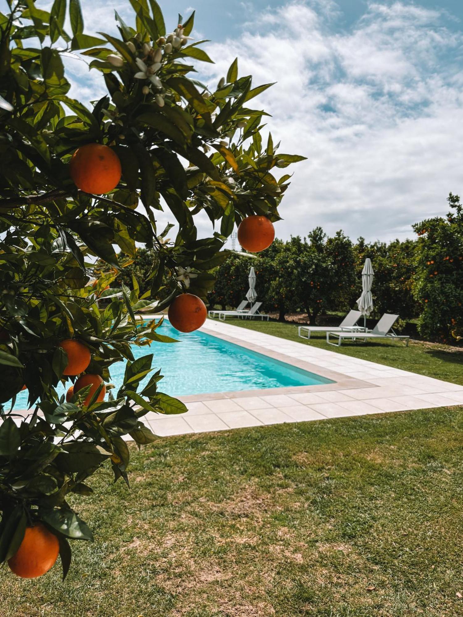 Quinta Dos Perfumes Villa Tavira Bagian luar foto